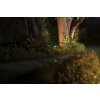 Philips Lights Spot garden spotlight LED black, 1-light source, Colour changer