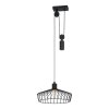 Eglo WINKWORTH Pendant Light black, 1-light source