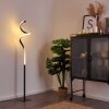 PITASCH Floor Lamp LED black, 1-light source