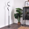 PITASCH Floor Lamp LED black, 1-light source