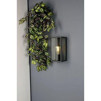 Lutec MIRAGE Outdoor Wall Light anthracite, 1-light source