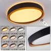 BEADE Ceiling Light LED gold, black, 1-light source, Remote control