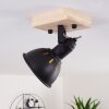 TINA Ceiling Light Dark wood, black, 1-light source