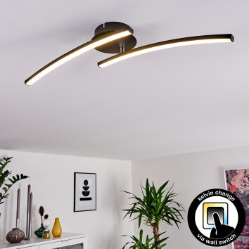 Aringa Ceiling Light LED black, 1-light source