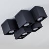 Karaka Ceiling Light black, 6-light sources