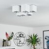 Karaka Ceiling Light white, 6-light sources