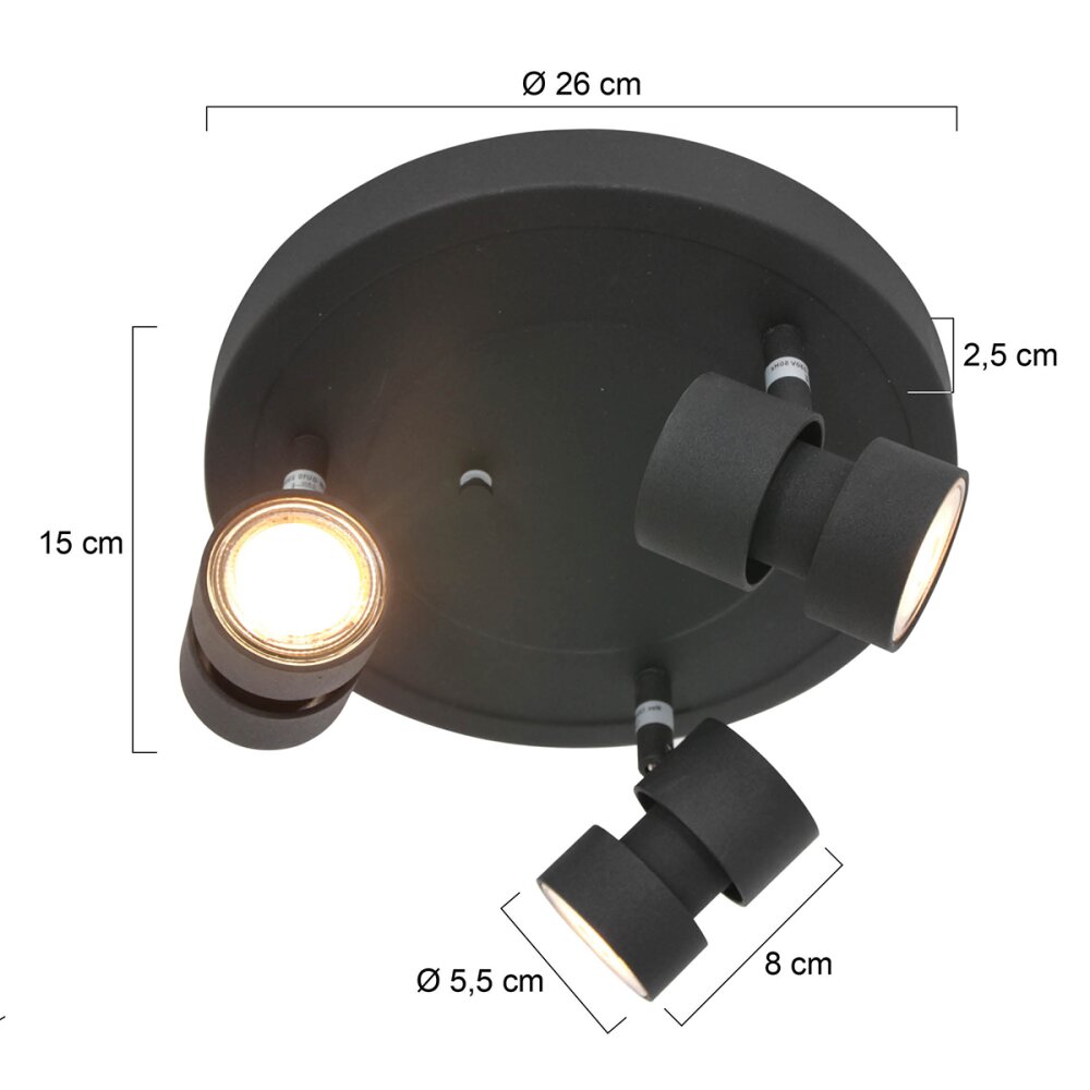 Steinhauer Natasja Ceiling Light LED black, 3-light sources
