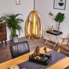 Alvares Pendant Light bronze, 1-light source