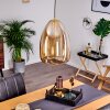 Alvares Pendant Light bronze, 1-light source