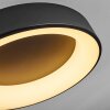 Pine Ceiling Light LED black, 1-light source