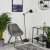 Peny Floor Lamp black, 1-light source