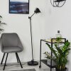 Peny Floor Lamp black, 1-light source