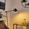 Peny Floor Lamp black, 1-light source