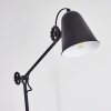 Peny Floor Lamp black, 1-light source