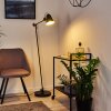 Peny Floor Lamp black, 1-light source