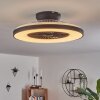 Qualiano ceiling fan LED black, white, 1-light source, Remote control