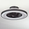 Qualiano ceiling fan LED black, white, 1-light source, Remote control