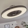 Qualiano ceiling fan LED black, white, 1-light source, Remote control