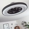 Qualiano ceiling fan LED black, white, 1-light source, Remote control