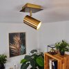 ZUOZ Ceiling Light antique brass, 1-light source