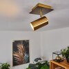 ZUOZ Ceiling Light antique brass, 1-light source