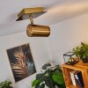 ZUOZ Ceiling Light antique brass, 1-light source