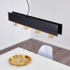 Fria Pendant Light black, 4-light sources