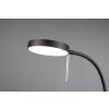 Trio-Leuchten MONZA Table lamp LED black, 1-light source