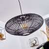 COLIMAU Pendant Light black, 1-light source