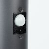 CASERTA path light anthracite, 1-light source, Motion sensor