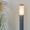 CASERTA path light anthracite, 1-light source, Motion sensor