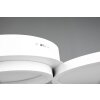 Trio-Leuchten SALSA Ceiling Light LED white, 1-light source