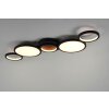 Trio-Leuchten SALSA Ceiling Light LED black, 1-light source