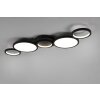 Trio-Leuchten SALSA Ceiling Light LED black, 1-light source