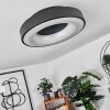 SACHSELN Ceiling Light LED black, 1-light source