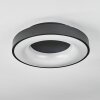 SACHSELN Ceiling Light LED black, 1-light source