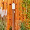 GABORONE path light brown, Wood like finish, 1-light source, Motion sensor