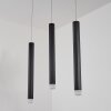 FRESHWATER Pendant Light LED black, 3-light sources