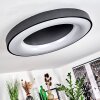 SACHSELN Ceiling Light LED black, 1-light source, Remote control