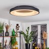 SACHSELN Ceiling Light LED black, 1-light source, Remote control