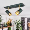 CAMPANAS Ceiling Light green, brass, 2-light sources