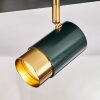 CAMPANAS Ceiling Light green, brass, 2-light sources