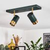 CAMPANAS Ceiling Light green, brass, 2-light sources