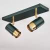 CAMPANAS Ceiling Light green, brass, 2-light sources