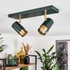 CAMPANAS Ceiling Light green, brass, 2-light sources