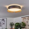 FUSCADO Ceiling Light LED black, 1-light source