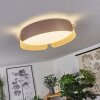 FUSCADO Ceiling Light LED Mocha, 1-light source