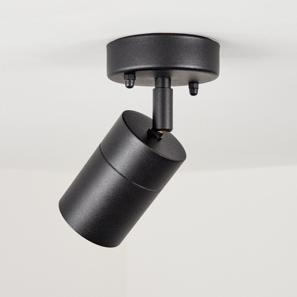 Shenandoah outdoor ceiling deals light