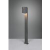 Trio AVON path light LED anthracite, 1-light source, Motion sensor