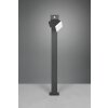 Trio AVON path light LED anthracite, 1-light source, Motion sensor